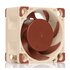 Noctua NF-A4X20 5V PWM sistema di raffreddamento per computer Case per computer Ventilatore 4 cm
