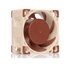 Noctua NF-A4x20 FLX Case per computer Ventilatore 4 cm Beige, Marrone