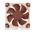 Noctua NF-A8 Case per computer Ventilatore 8 cm Beige, Marrone