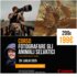 Ollo Academy - Workshop di Fotografia naturalistica