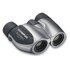 OM System 8x21 DPCI Argento - Silver