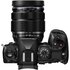 OM System OM-1 Mark II + 12-40mm f/2.8 II Pro