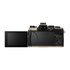 OM System OM-5 II Body Sabbia