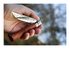 Opinel N°08 Camper/scout Marrone