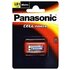 Panasonic 1 lr 1 lady