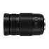 Panasonic 100-300mm f/4-5.6 Lumix G Vario II Power O.I.S.