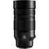 Panasonic Leica DG Vario-Elmar 100-400mm f/4-6.3 II ASPH. POWER O.I.S.