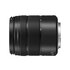 Panasonic 45-150mm f/4.0-5.6 G Lumix Vario MEGA OIS Nero