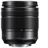 Panasonic Lumix G X Vario 12-60mm f/3.5-5.6 HF Power OIS