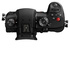 Panasonic Lumix GH5 M2 + Leica DG Vario-Elmarit 12-60mm f/2.8-4 Power O.I.S.