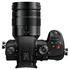 Panasonic Lumix GH5 M2 + Leica DG Vario-Elmarit 12-60mm f/2.8-4 Power O.I.S.