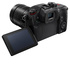 Panasonic Lumix GH5 M2 + Leica DG Vario-Elmarit 12-60mm f/2.8-4 Power O.I.S.