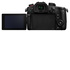 Panasonic Lumix GH5 M2 + Lumix G X Vario 12-60mm f/3.5-5.6 HF Power OIS