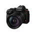Lumix S1 II E + Lumix S 24-60mm f/2.8