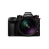Lumix S1 II + Lumix S 24-60mm f/2.8