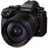 Lumix S1R II + Lumix S 24-60mm f/2.8