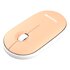 Pantone PT-MS001E mouse Casa RF Wireless Laser 100 DPI Arancio