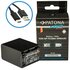 Patona Batteria Platinum con Input USB-C per Sony NP-FV100