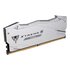 Patriot Memory Viper Xtreme 5 RGB memoria 48 GB 2 x 24 GB DDR5 6400 MT/s Data Integrity Check (verifica integrità dati)