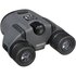 Pentax UP Papilio II 6.5x21