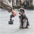PGYTECH CapLock MantisPod Power Grip (edizione GoPro)