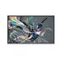 Philips 50BDL3650QE/00 49.5" 4K Ultra HD