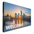 Philips 55BDL3305X LCD Interno