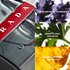 Prada Luna Rossa Carbon Eau de toilette 100 ml