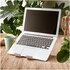 R-GO TOOLS Supporto per laptop e tablet R-Go Treepod, ergonomico e modulare, regolabile, a base biologica
