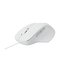 RAPOO N500 mouse USB tipo A Ottico 3600 DPI