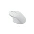 RAPOO N500 mouse USB tipo A Ottico 3600 DPI