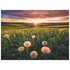 Ravensburger 16990 puzzle 500 pz Landscape