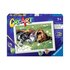 Ravensburger CreArt Sleeping Cats and Dogs Colore per kit di verniciatura in base ai numeri