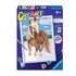 Ravensburger The Royal Horse Colore per kit di verniciatura in base ai numeri