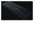 Razer Cynosa Lite USB QWERTY Italiano Nero