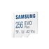 Samsung EVO Plus 256 GB MicroSDXC UHS-I Classe 10 V30 con Adattatore SD