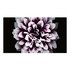 Samsung LH008IWJMWS/XU espositore video da parete Interno