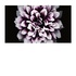 Samsung LH016IWJMWS LED