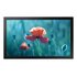 Samsung QB13C 33 cm (13") LCD Wi-Fi 500 cd/m² Full HD Nero 16/7