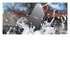 SanDisk Extreme PRO Portable 1 TB Nero