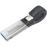 SanDisk iXpand 256GB USB 3.0 (3.1 Gen 1) Tipo-A Nero, Argento