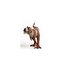Schleich Dinosaurs 15032 action figure giocattolo