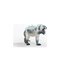 Schleich Eldrador 70147 action figure giocattolo