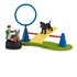 Schleich Farm Life Puppy Agility Training