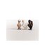 Schleich Farm World Chicken Friends