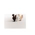Schleich Farm World Chicken Friends