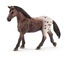 Schleich Horse Club 13861 Animale in miniatura