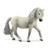 Schleich Horse Club 13942 Islandic Pony Mare