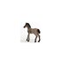Schleich Horse Club 13949 Criollo Definitivo Foal