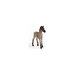 Schleich Horse Club 13949 Criollo Definitivo Foal